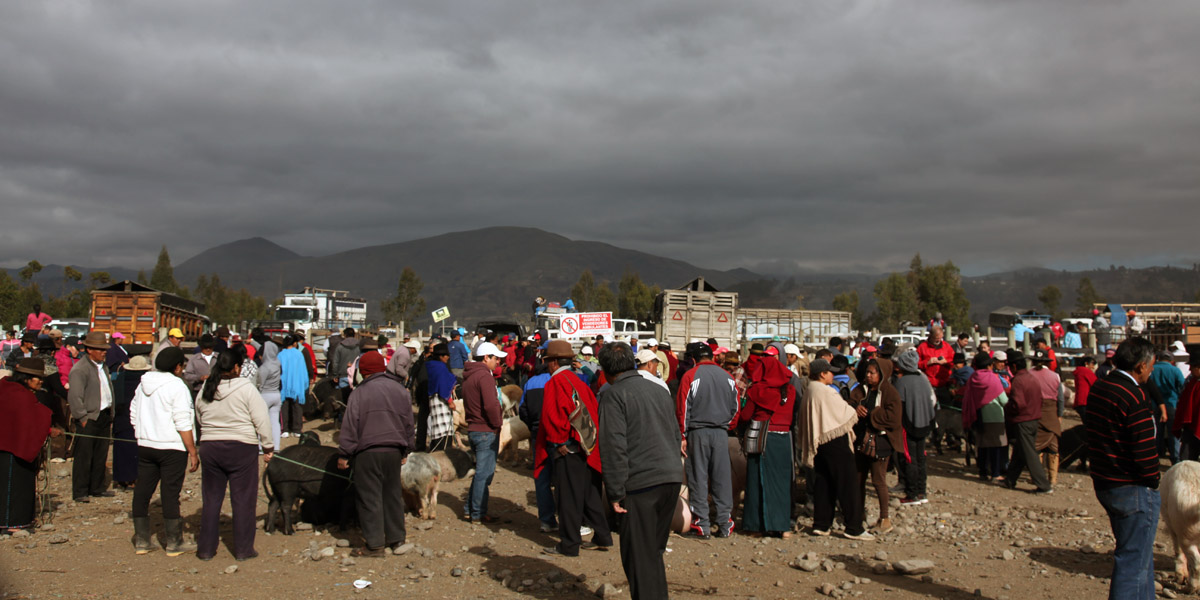 Veemarkt in Riobamba